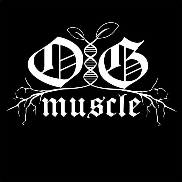 Organic Muscle shirt